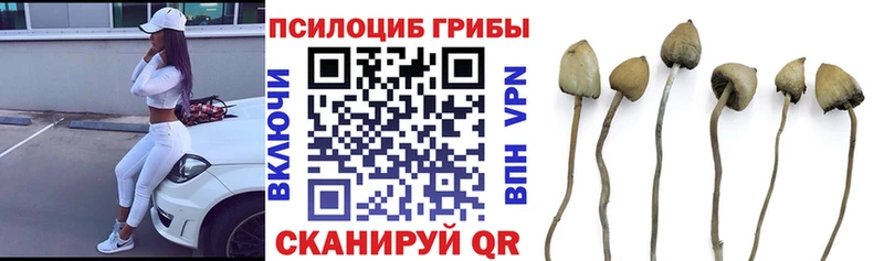 Галлюциногенные грибы ЛСД  Сасово 